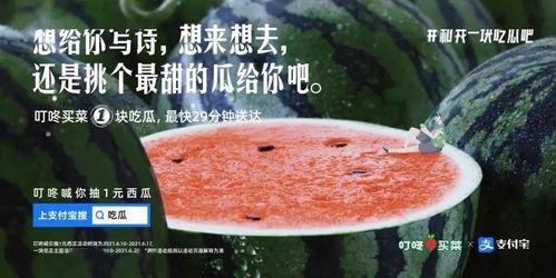 娱乐吃瓜简介文案,吃瓜群众必备的娱乐八卦速览